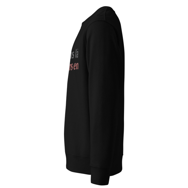 Sweatshirt Coton Bio Éco - Responsable Unisexe - Kentu